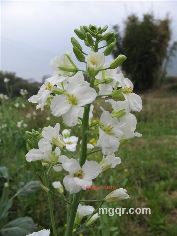 深夜沉醉的第1张照片