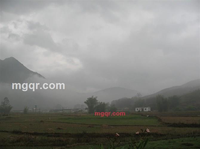 深夜沉醉的第5张照片