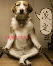 烟台老猫的第1张照片