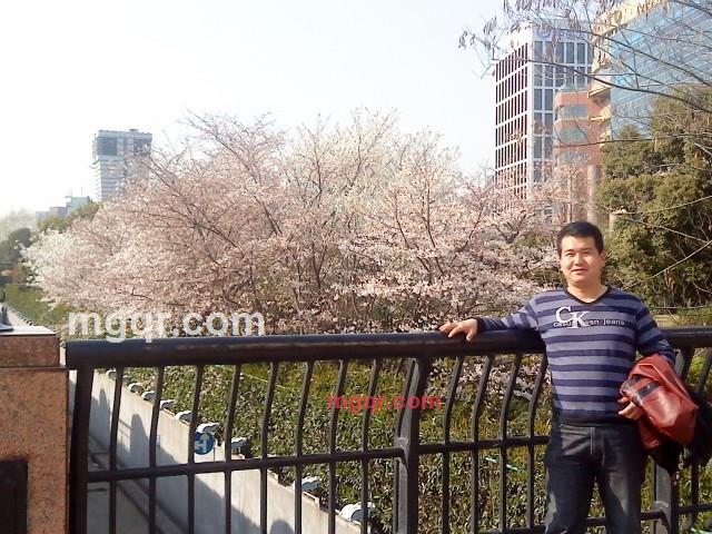 玫瑰骑士1的第2张照片