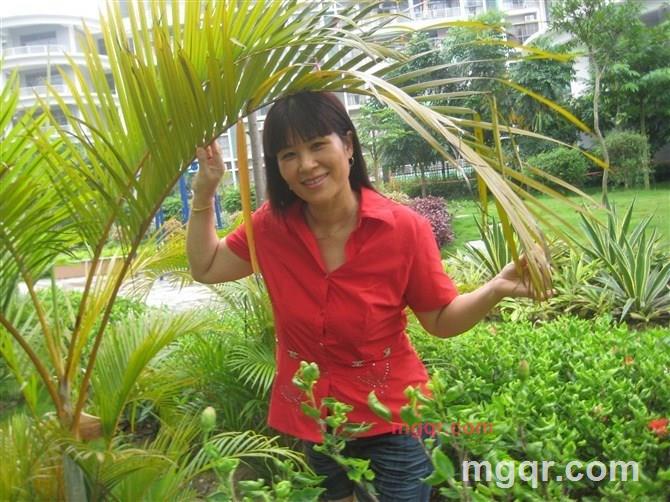 蓝色妖姬A的第1张照片