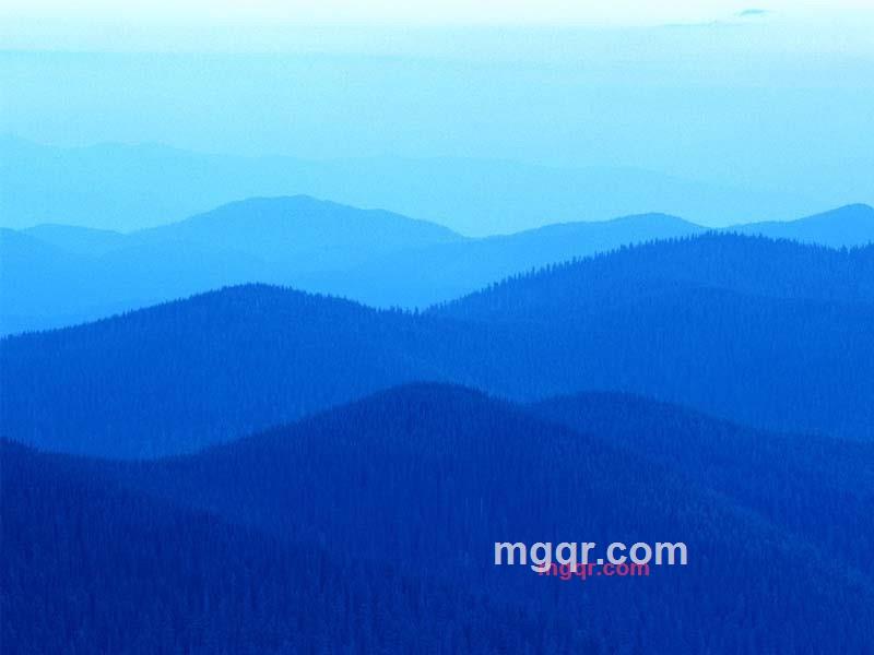 曾庆林的第3张照片