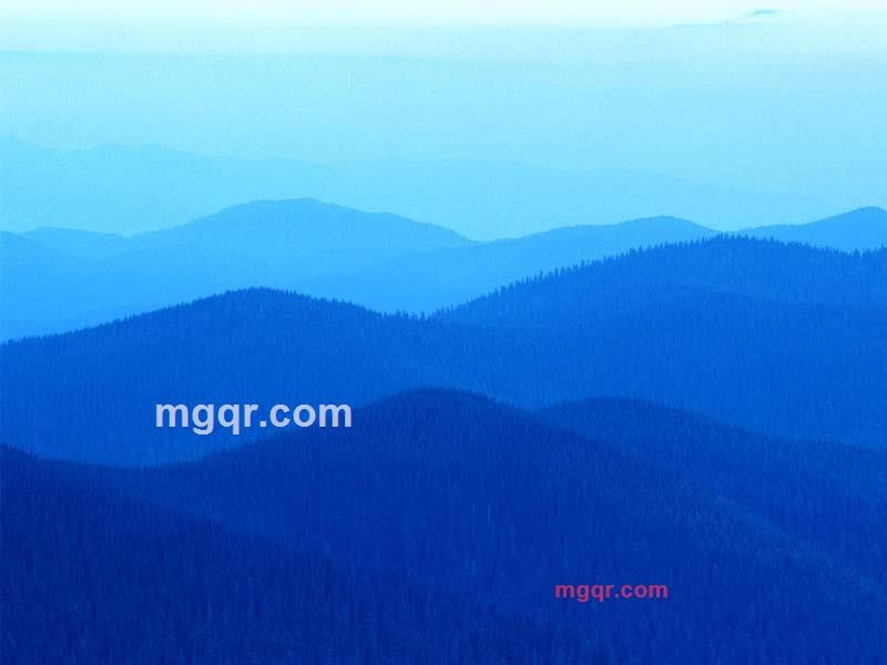 曾庆林的第2张照片