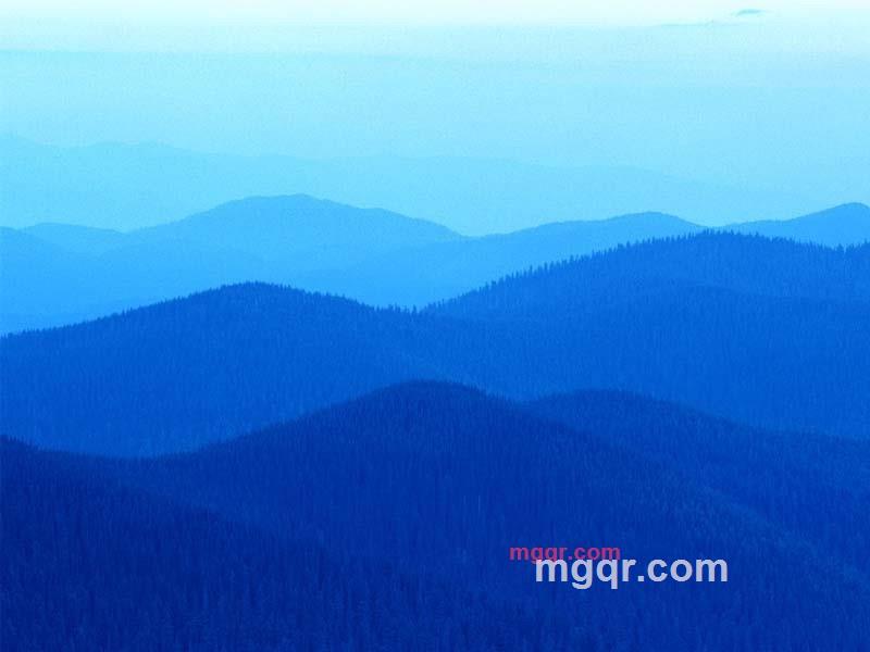 曾庆林的第1张照片