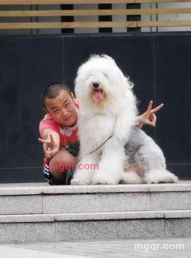 寻觅·情人的第1张照片