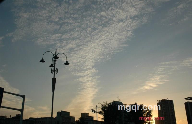 tiramisu1的第8张照片