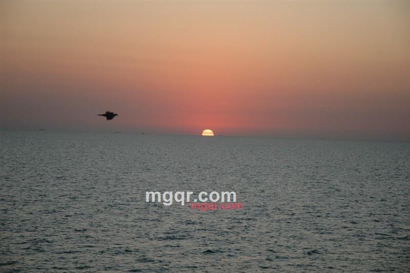 tiramisu1的第5张照片