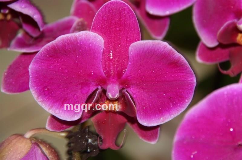 tiramisu1的第4张照片