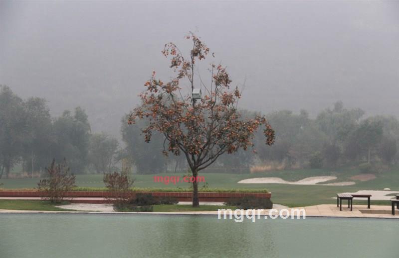 tiramisu1的第3张照片