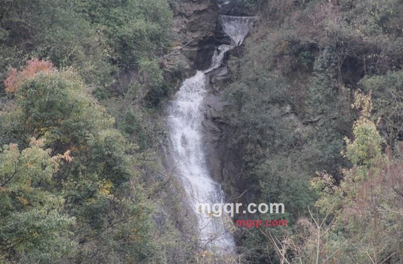 tiramisu1的第2张照片