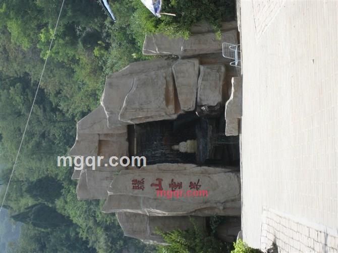 张叚娤的第3张照片