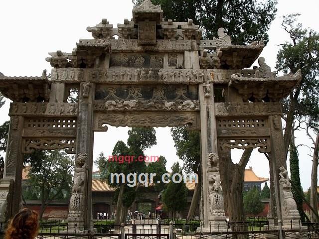 张叚娤的第1张照片