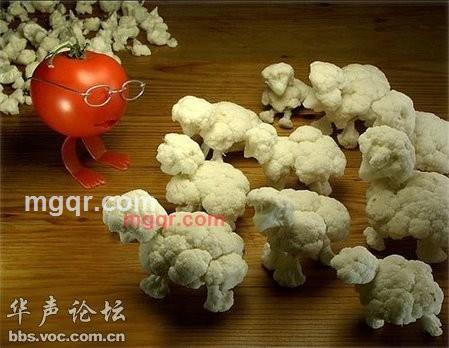 生活如麻的第1张照片