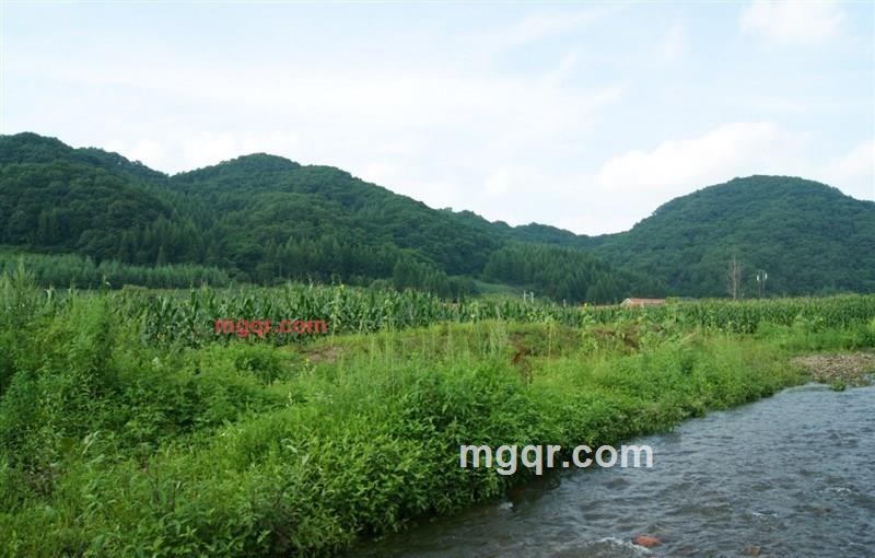 haoren的第1张照片