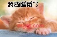 火焰和海水的第1张照片