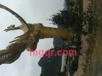 威言的第7张照片