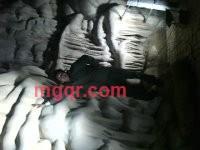 威言的第4张照片