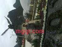 威言的第5张照片