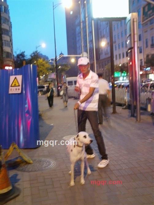 子小鬼斗的第8张照片