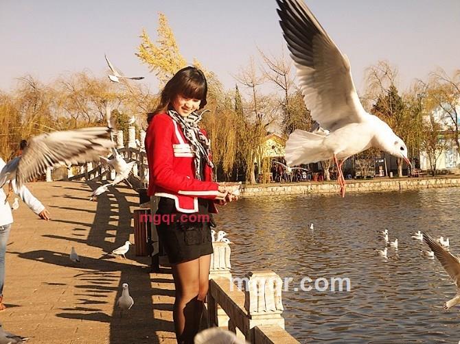 何况的第4张照片