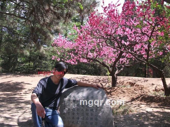 蓝色火焰1122的第20张照片