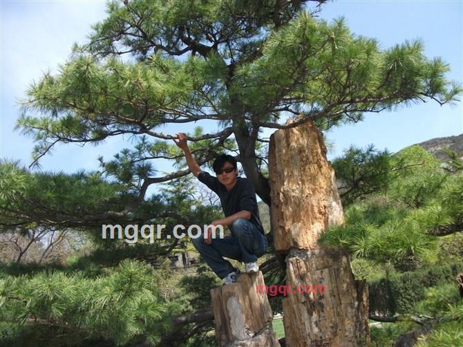 蓝色火焰1122的第19张照片