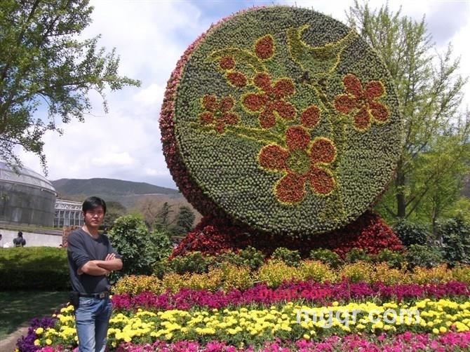 蓝色火焰1122的第13张照片