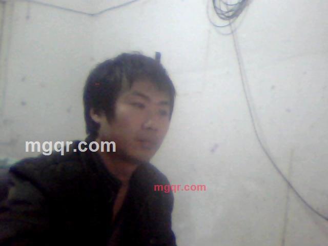 情在何时的第1张照片