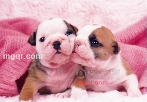 知心话的第1张照片