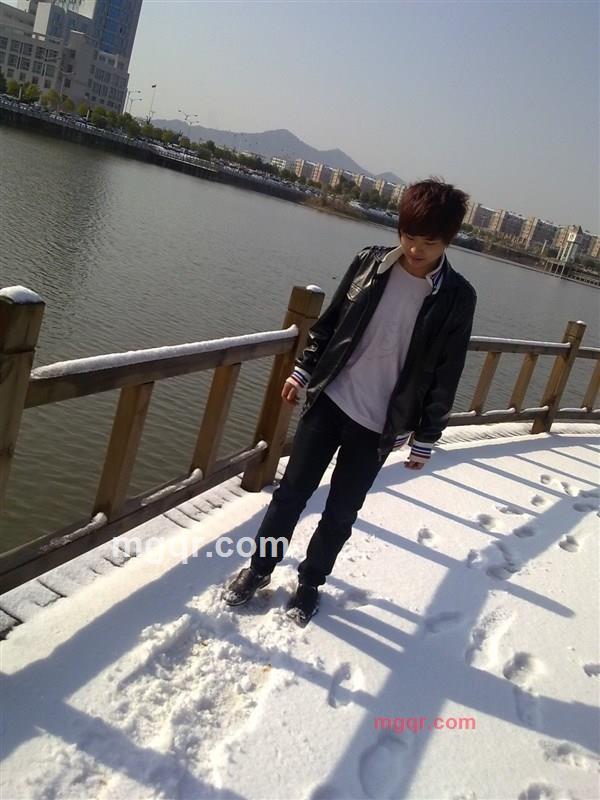 遗失的狼1的第1张照片