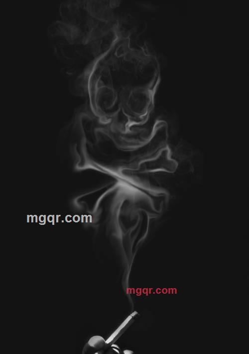 不爱任何人的第1张照片