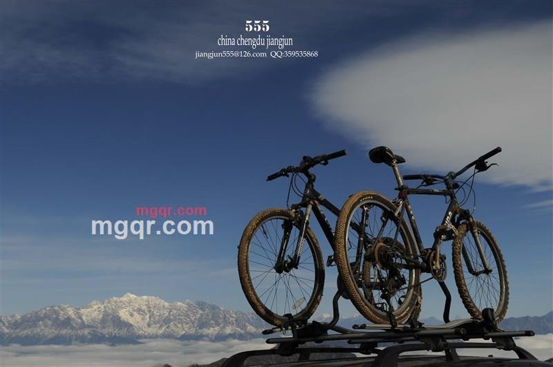 三五将军的第1张照片