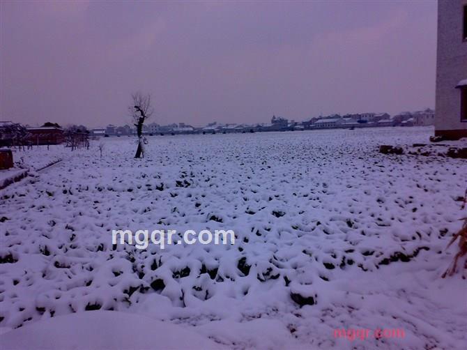 JACk`的第3张照片