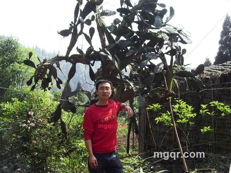 向往神鹰1的第5张照片