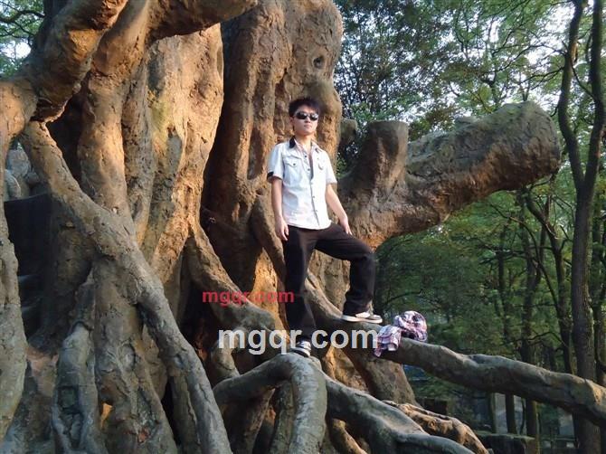 孤单的流浪者的第3张照片