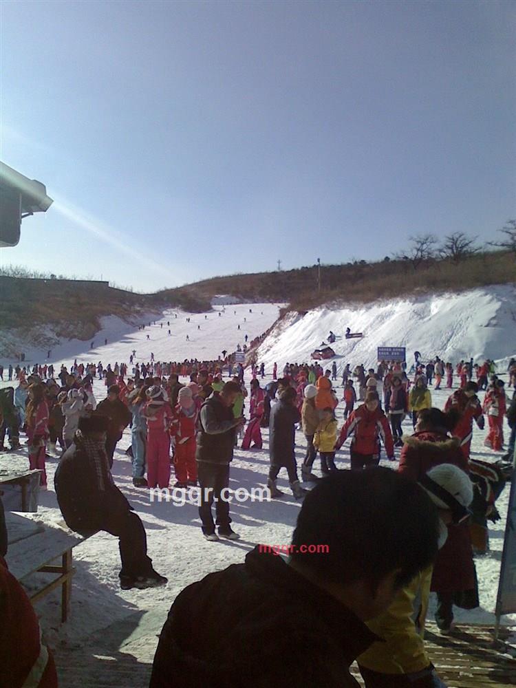 zj爱情鸟的第2张照片