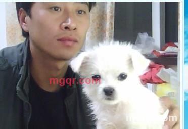 卓别/林的第1张照片