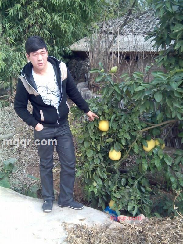 心若移动如何联通。的第1张照片