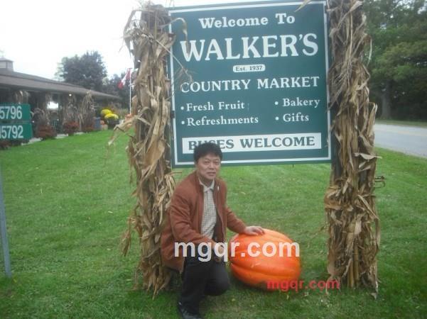 杀伤力的浪漫的第5张照片