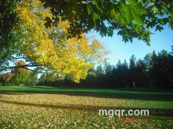 杀伤力的浪漫的第2张照片