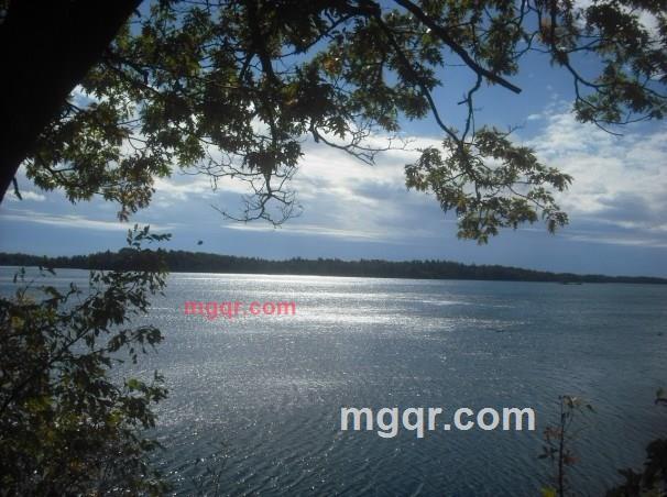 杀伤力的浪漫的第1张照片