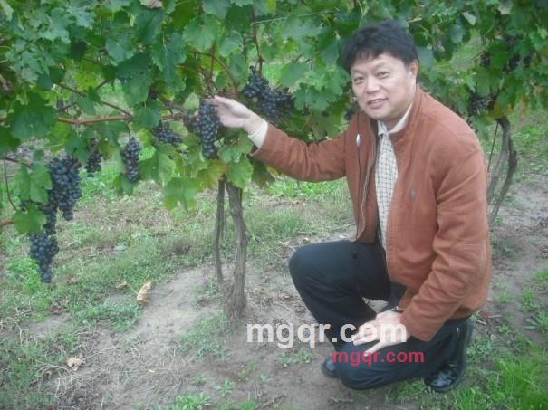 杀伤力的浪漫的第6张照片