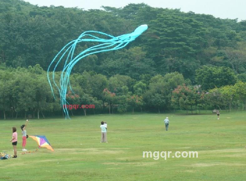 WDKJ的第2张照片