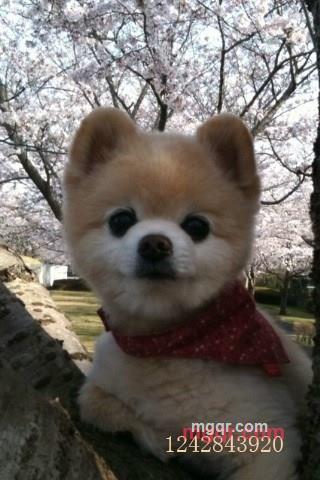 往事随风啊的第1张照片