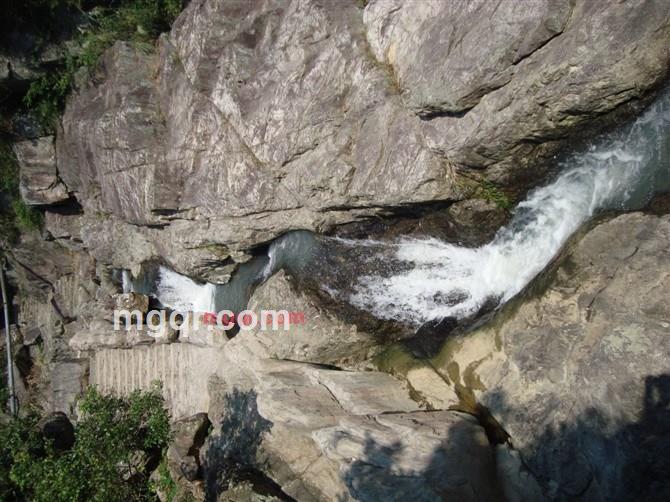 高情情的第1张照片