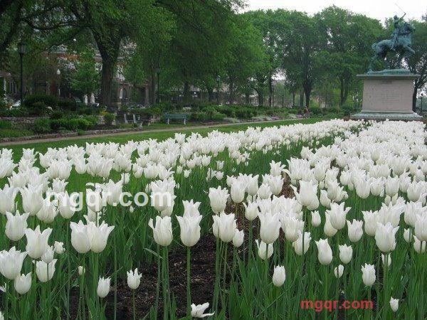 缘来真是你的第1张照片