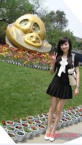 朝阳贞贞的第3张照片