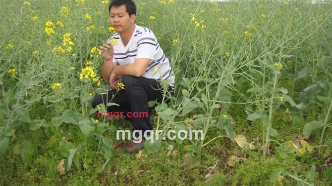 包涵岁月的第1张照片