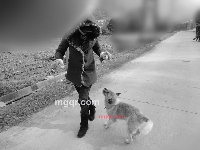 野花的诱惑的第1张照片