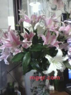 shapu的第2张照片